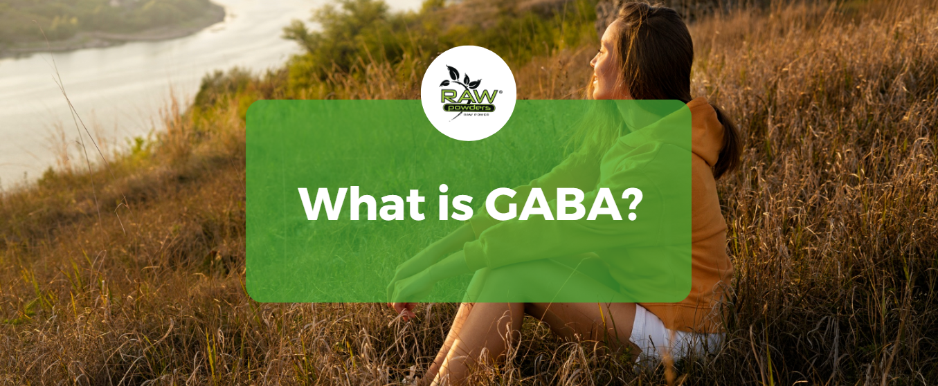 What is Gaba?